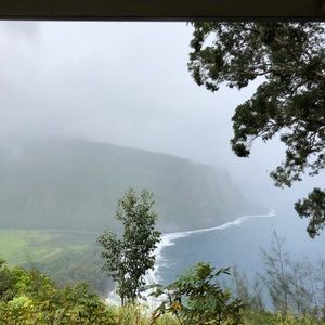 Meet your Posher, Bryn